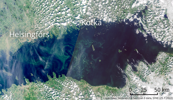 Algmattorna i Finska viken syntes i satellitbilder måndagen den 25.7.2022.